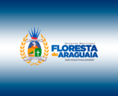 Manual de Monitoramento incentiva e orienta gestores educacionais e a comunidade escolar envolvidos na prática de monitoramento do PDDE